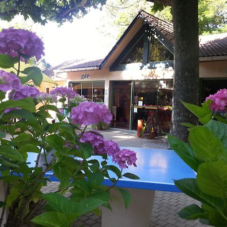 Camping Les Sources Saint-Jean-du-Gard Extérieur photo