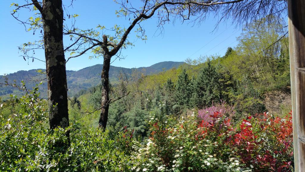 Camping Les Sources Saint-Jean-du-Gard Extérieur photo