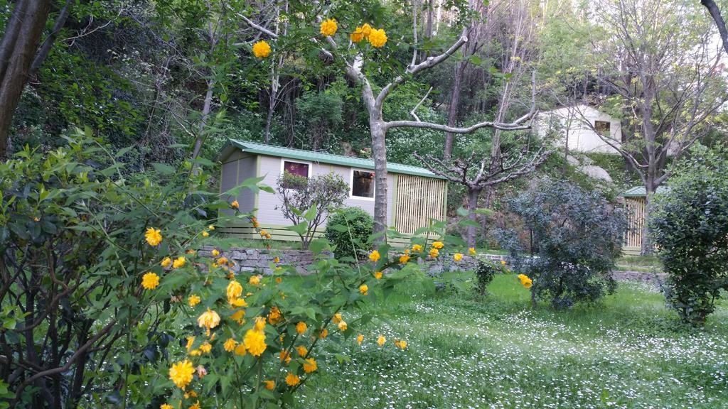 Hotel Camping Les Sources à Saint-Jean-du-Gard Extérieur photo