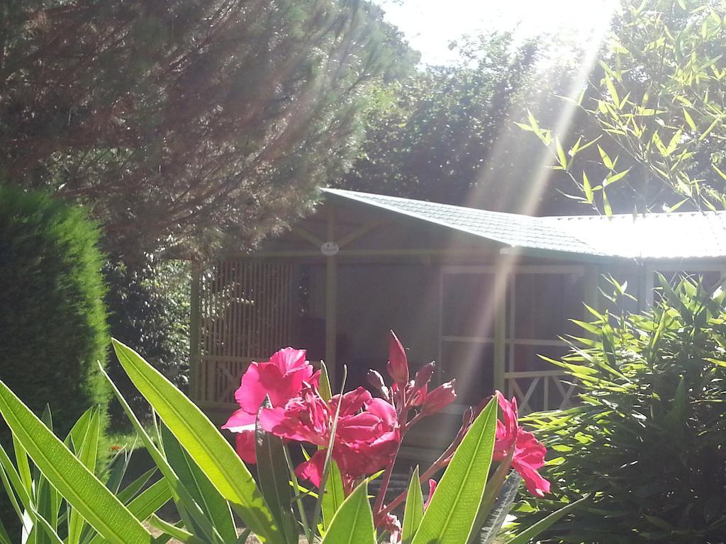 Camping Les Sources Saint-Jean-du-Gard Chambre photo